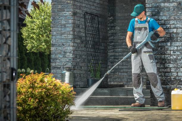 Best Sidewalk and Walkway Cleaning  in Picture Rocks, AZ